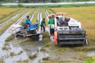 Lộc Trời cam kết giảm 1 triệu lít hóa chất xuống đồng ruộng Việt Nam