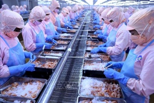 Vùng nuôi tôm hoạt động không hiệu quả, Minh Phú báo lãi giảm hơn 34%