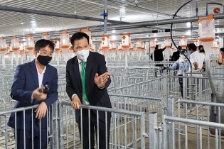 Chủ tịch BaF Việt Nam lý giải vì sao đặt kế hoạch doanh thu năm nay giảm 43%