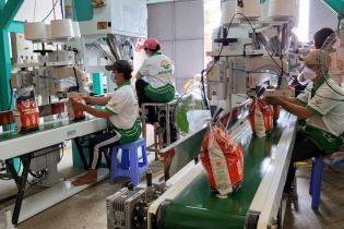 Một doanh nghiệp ở An Giang sẽ xuất khẩu 3 triệu tấn gạo sang Cộng hòa Sierra Leone