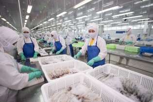 Thuỷ sản Sao Ta đặt kế hoạch lợi nhuận trước thuế tăng gần 11%