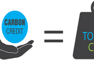 Sẽ có thị trường mua bán tín chỉ carbon 5 năm tới
