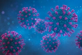 WHO: Biến thể mới Omicron có thể gia tăng nguy cơ tái nhiễm Covid-19