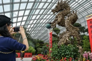 Những ngành nào sẽ phất lên trong năm "Rồng gỗ"