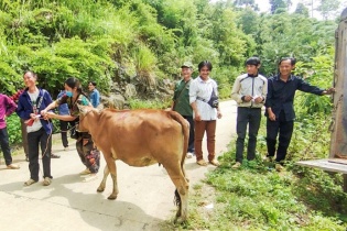 Cao Bằng đã giải ngân 33% kế hoạch vốn Chương trình giảm nghèo