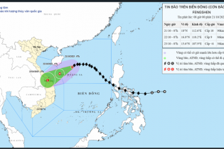 Dự trữ Nhà nước các khu vực sẵn sàng ứng phó cơn bão số 12