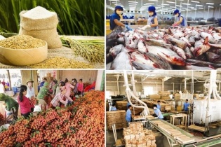 Gỡ vướng chính sách thuế GTGT với nông sản và thức ăn chăn nuôi