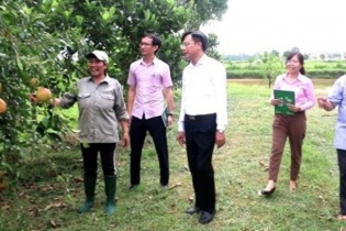 Thanh Hóa: Giảm nghèo phải được xem là nhiệm vụ chính trị thường xuyên của cả hệ thống