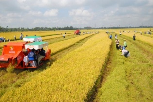 Đề xuất tăng mạnh hỗ trợ phí bảo hiểm nông nghiệp