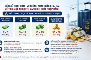 Từ 1/7, xuất nhập cảnh không khai báo ngoại tệ, vàng có thể bị phạt 50 triệu đồng
