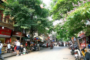 Gần 200 triệu đồng/m2 nhà phố cổ Hà Nội