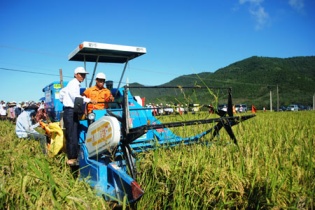 Tổng vốn đầu tư cho "tam nông" đạt gần 611.000 tỷ đồng