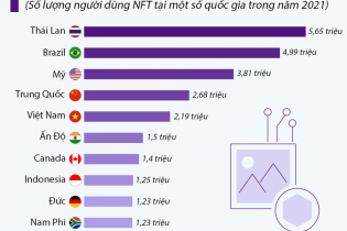 Việt Nam có gần 2,2 triệu người dùng NFT