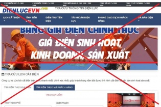 Phát hiện gần 1.200 trang web giả mạo thương hiệu doanh nghiệp Việt