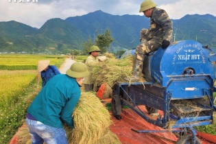 Thủ tướng yêu cầu thúc đẩy sản xuất, xuất khẩu gạo