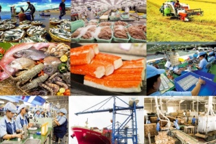 Cơ cấu lại thị trường xuất khẩu, kích cầu tiêu dùng, nghiên cứu các mức thuế phù hợp Cơ cấu lại thị trường xuất khẩu, kích cầu tiêu dùng, nghiên cứu các mức thuế phù hợp
