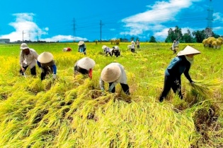 Phấn đấu hàng năm đào tạo, bồi dưỡng khoảng 1,5 triệu lao động