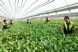 Đẩy mạnh liên kết, hợp tác giữa hợp tác xã với doanh nghiệp và các thành phần kinh tế khác