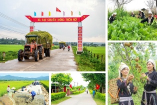 Điều kiện công nhận xã đạt chuẩn nông thôn mới, nông thôn mới hiện đại