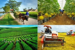 Đến năm 2030 cả nước có 500 tổ hợp tác ứng dụng công nghệ cao vào sản xuất