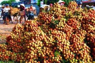5 tháng đầu năm, kim ngạch xuất khẩu ước đạt 63,2 tỷ USD