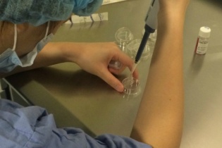 Người mang thai hộ đầu tiên tại Bệnh viện Từ Dũ cho nữ Việt kiều