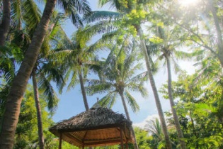 Furama Đà Nẵng nhận bằng khen “Vì môi trường xanh quốc gia” năm 2015