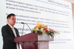 Tavico vận hành Trung tâm phân phối gỗ nguyên liệu nhập khẩu lớn nhất Việt Nam