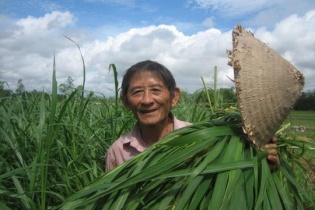 Anh hùng Hồ Giáo qua đời, thọ 87 tuổi