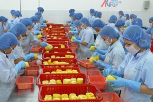 Đồng bằng Sông Cửu Long mời gọi đầu tư vào 62 dự án với tổng vốn 4 tỷ USD