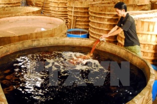 Đính chính và cáo lỗi về thông tin nước mắm có Arsen