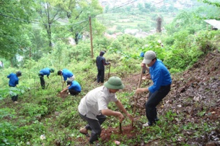 Tìm vốn đầu tư ngoài ngân sách cho phát triển ngành lâm nghiệp