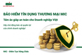 Bảo hiểm tín dụng thương mại - “tấm áo giáp an toàn” cho doanh nghiệp Việt