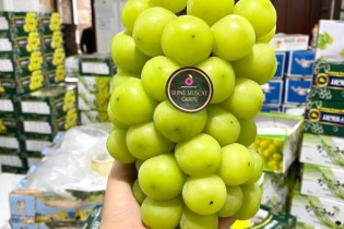 Tôm Fruits: Trái cây nhập khẩu tươi ngon cho mùa tết 2021