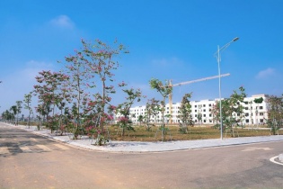 Đất nền Nghệ An “sôi động” dịp đầu năm