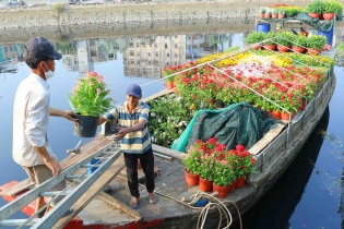 Chợ hoa xuân "trên bến dưới thuyền" nhộn nhịp trước ngày khai hội 