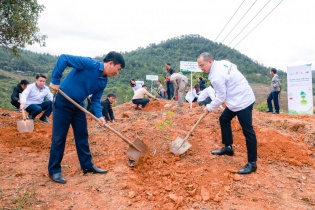 Phát động chiến dịch “Stavian - Trồng rừng, Vững sống"
