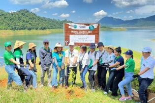 Manulife góp trồng 4.000 cây rừng, tiếp tục hành trình phủ xanh Việt Nam