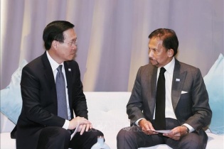 Đưa quan hệ hợp tác Việt Nam - Brunei đi vào chiều sâu, thiết thực hơn