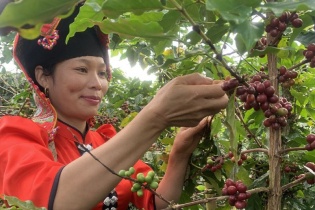IIX hỗ trợ huy động 500.000 đô la Mỹ cho doanh nghiệp tạo tác động xã hội tại Việt Nam