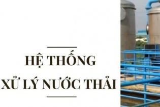 Kiến nghị xử phạt Tập đoàn Thái Tuấn vì vi phạm quy định bảo vệ môi trường