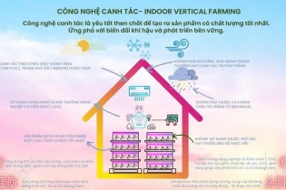 Cùng Havy Indoor Farm nhân rộng mô hình nông nghiệp xanh cho đô thị Việt Nam