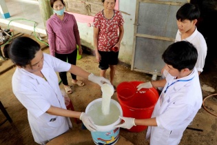 Tin mới y tế ngày 4/10: Cẩn trọng với nguy cơ nhiễm xoắn khuẩn vàng da trong mùa mưa lũ