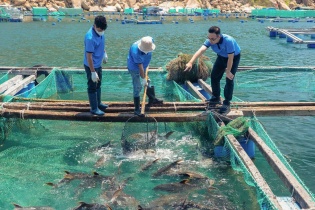 KLC Group đầu tư phát triển thủy hải sản trong giai đoạn mới