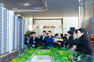 Sức nóng từ The Emerald Garden View: Căn hộ ở thực bùng nổ giao dịch tại lõi TP.HCM mới