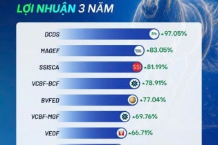 Tìm kiếm cơ hội giữa thị trường phân hóa mạnh: Lời khuyên từ quỹ mở đạt hiệu suất đầu tư 3 năm cao nhất hiện nay