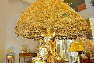 Ngắm cây bồ đề được mạ vàng 24k tại TP.HCM	
