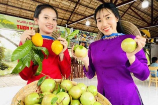 Trái cây Đồng bằng sông Cửu Long rộn ràng ra chợ Tết