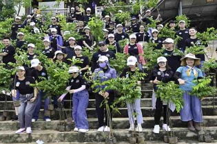 Hàng trăm cây xanh được trao tặng miễn phí cho người dân TP.HCM dịp “Tết trồng cây”