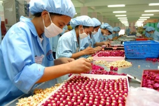 Vẫn lúng túng các biện pháp thi hành Luật thuế Nhập khẩu, thuế xuất khẩu